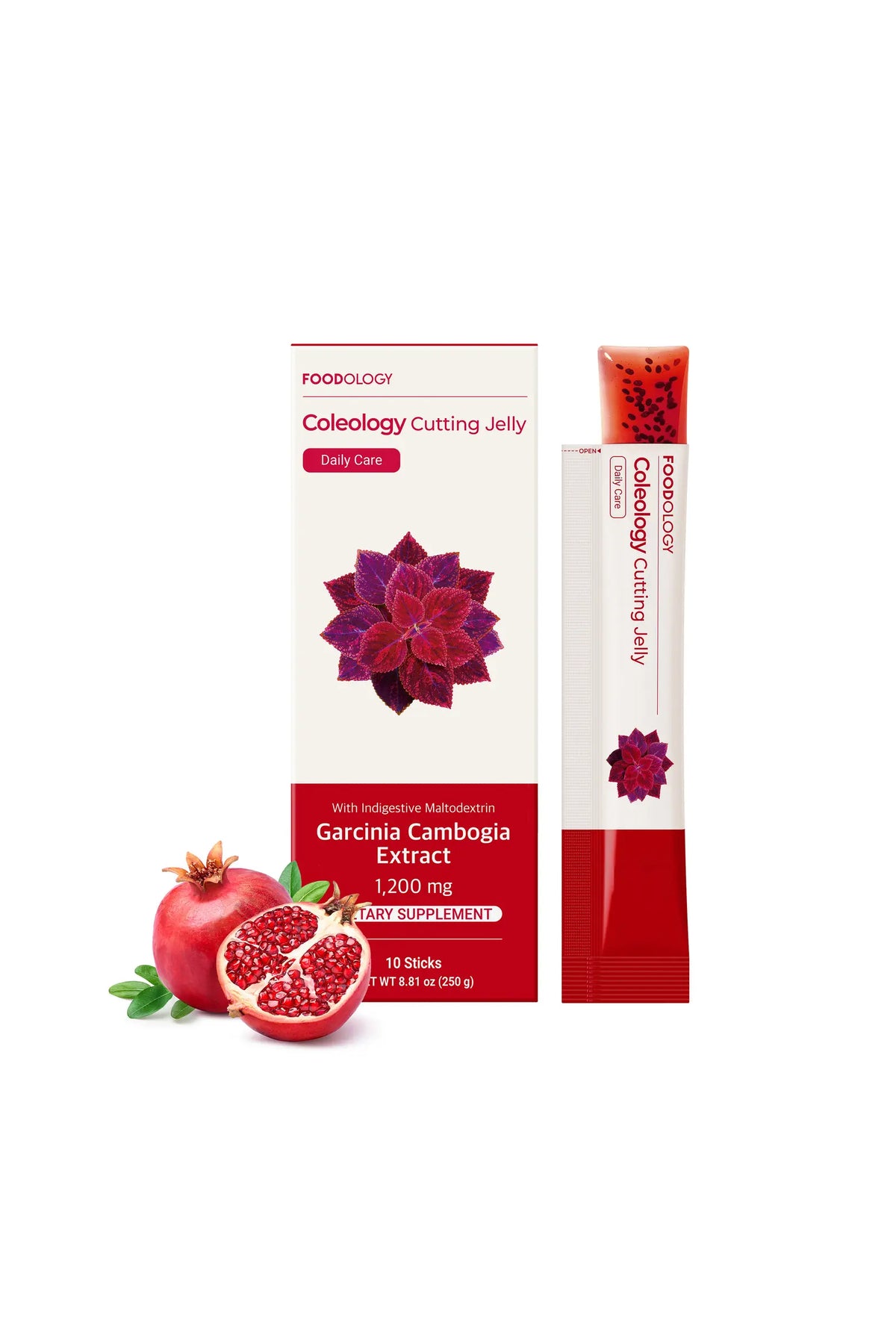 FOODOLOGY Coleology Cutting Jelly